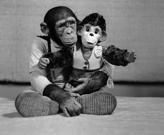 two monkeys don't make it right